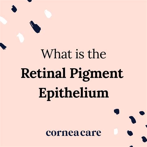 Retinal Pigment Epithelium Definition - CorneaCare