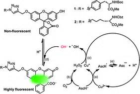 Highly Sensitive Naked Eye And Fluorescence Turn On Detection OfCu2