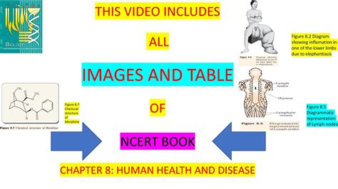 Class 12 Biology Chapter 8 HUMAN HEALTH AND DISEASE NEET Quick