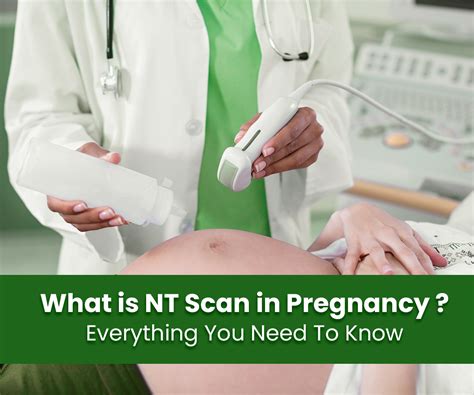 What Is Nt Scan In Pregnancy A Comprehensive Overview In 2023