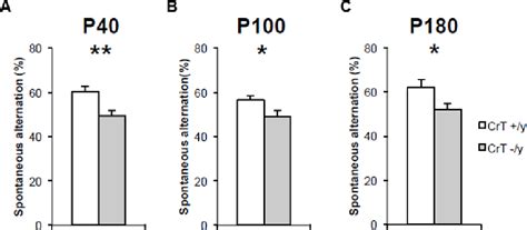 Figure 1 From New Insights Into Creatine Transporter Deficiency Semantic Scholar