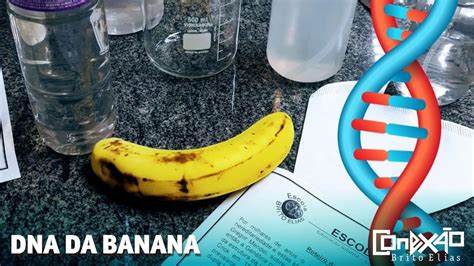 Extra O De Dna Da Banana Librain