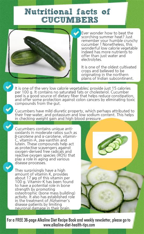 Nutritional Facts Of Cucumbers