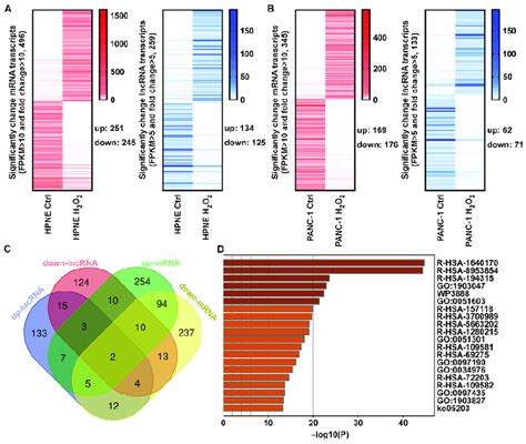 Heatmap Venn Diagram And Kegg Pathway Enrichment Of Significantly