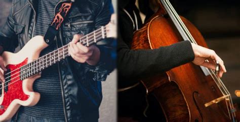 Bass Guitar Vs Cello Every Difference Explained Bassox