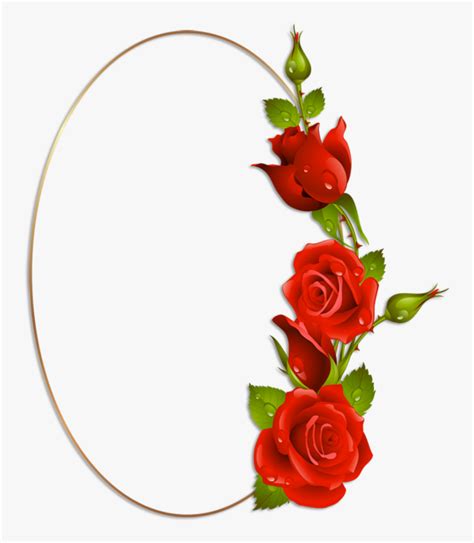 Rose Oval Border Png Transparent Png Transparent Png Image Pngitem