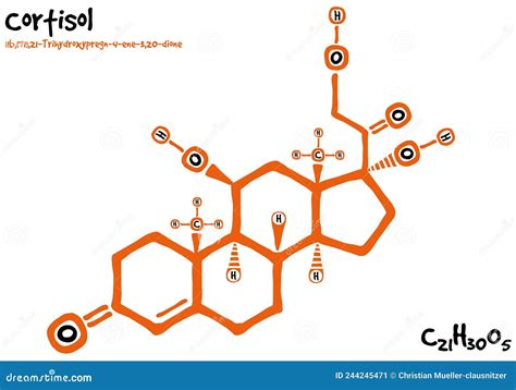 Drawn Molecule And Formula Of Cortisol Stock Vector Illustration Of