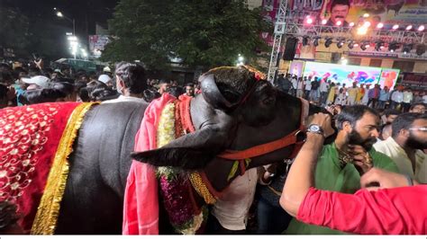 Bahubali Commando Bulls At Narayanaguda Sadar Hyderabad Sadar