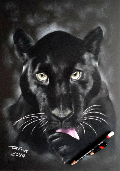 Black Panther pencil drawing by TAFOXART on DeviantArt