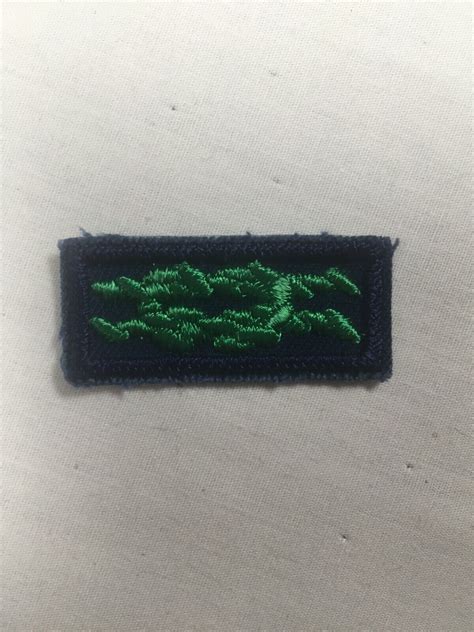 Scouters Training Award Sea Scout Blue Plastic Back Bsa Knot Patch Ebay