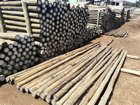 Prime Poles High Quality Cca Treated Poles At Competitive Prices