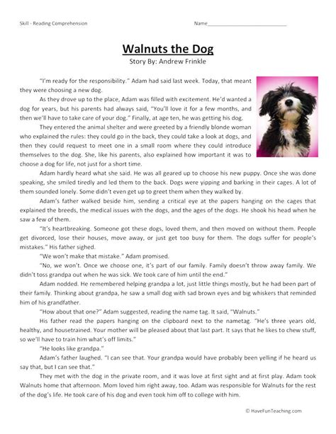 Walnuts The Dog Reading Comprehension Worksheet Have Fun Teaching