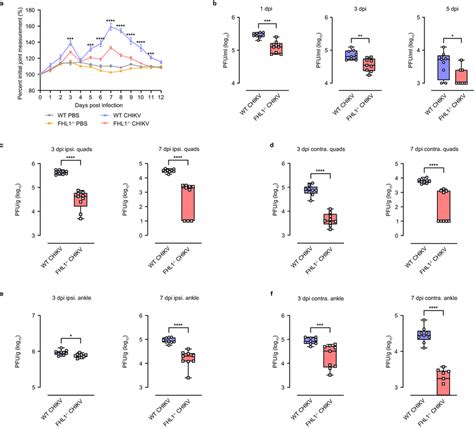 FHL1 Is Essential For The Replication Of CHIKV And ONNV Multi Step