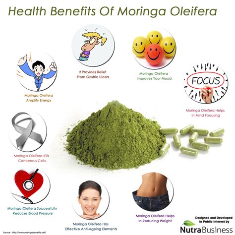 How To Make Moringa Powder The Step Complete Guide Artofit