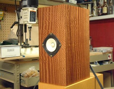 DIY Fostex FE103E Asymmetrical Bass Reflex Speakers DIY Audio