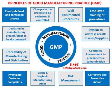 GMP Good Manufacturing Practice LMG New York