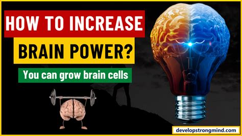 How To Increase The Brain Power You Can Grow Your Brain Cells