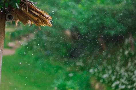 drizzle    simple explanation windyapp