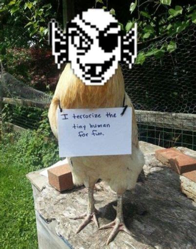 Papyrus Meme | Undertale Amino