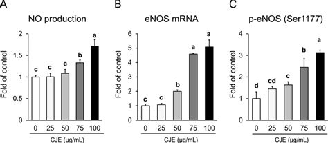 Effect Of Cje On A No Production B Enos Mrna Expression And C Download Scientific