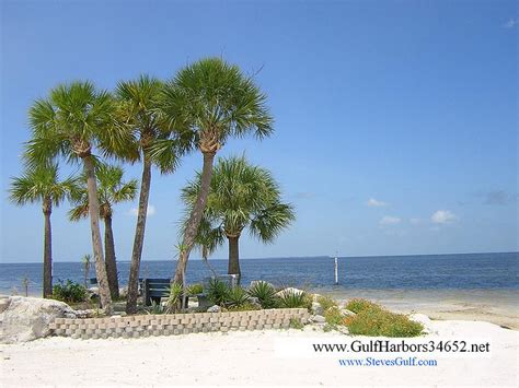 Gulf Harbors Beach Club Wedding Venues And Vendors Wedding Mapper