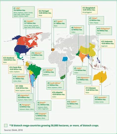 Gmo Crops Cover Million Hectares Worldwide Fold Increase Since