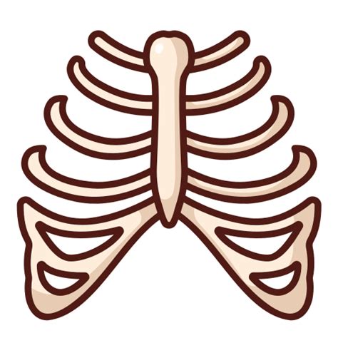 Rib Cage Generic Outline Color Icon