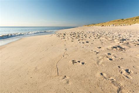 Playa Océano Y Dunas Escénicos En El Sol De Igualación Imagen de