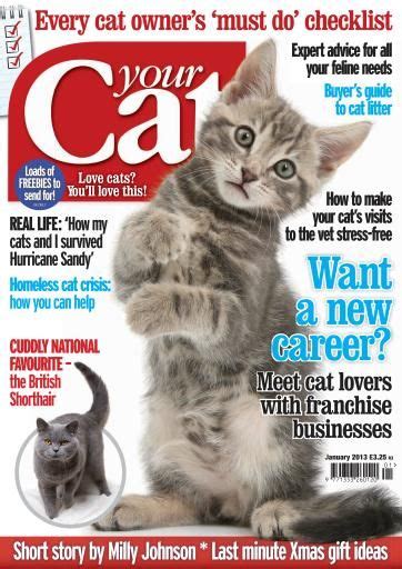 39 Cat Magazine Ideas Cat Magazine Cats Magazine