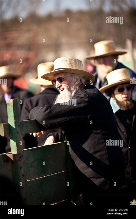 Amish Pennsylvania Hi Res Stock Photography And Images Alamy