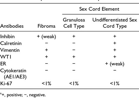 Table 1 From Extraovarian Fibroma With Minor Sex Cord Elements A Case Report And Literature