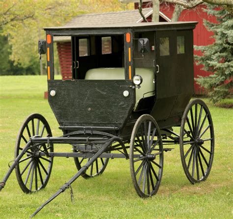 Amish buggy | Amish farm, Amish culture, Amish community