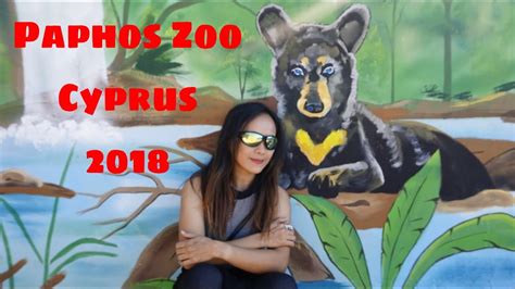 Animals In Paphos Zoo Cyprus 2018 Youtube