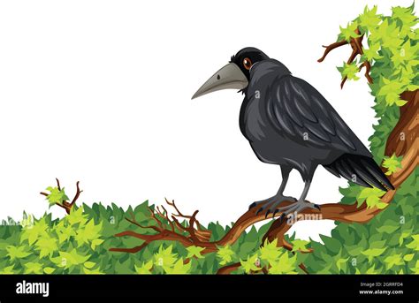 Crow standing on branch Stock Vector Image & Art - Alamy