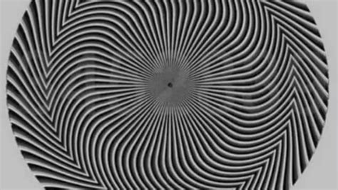 Mind Bending Optical Illusion Shows Hidden Number And Everyone Is