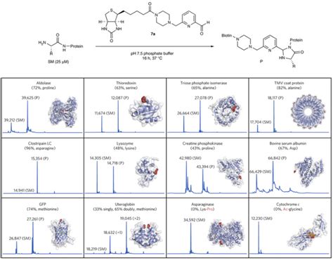 Protein Modification Francislab