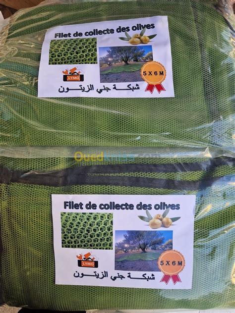 Filet De Collecte Des Olives Et Elvage Des Oiseau Tizi Ouzou Tizi