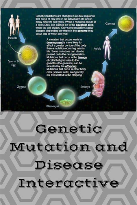 Explore how genetic mutations relate to diseases with this interactive ...