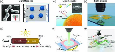 Representative LMNRs Encoded By Hybrid Modes A Peanutshaped Hematite