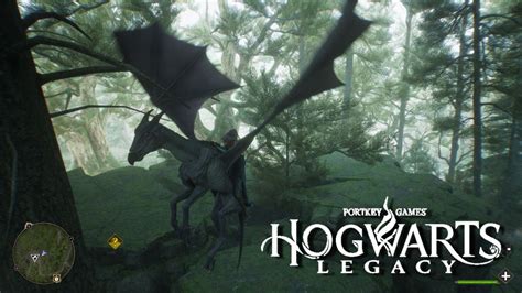 Sombral Hogwarts Legacy Lieu De Capture Monture Coloris Tout