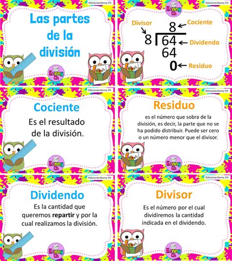 Partes de la división Educación Primaria