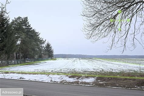 Dzia Ka Kur W Ul Fabryczna Bez Po Rednika Ha Z