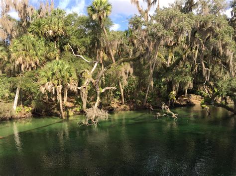 Blue Springs State Park in Florida : r/pics