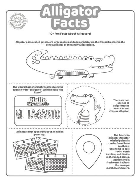 Fun Alligator Facts For Kids To Print And Learn | Kids Activities Blog