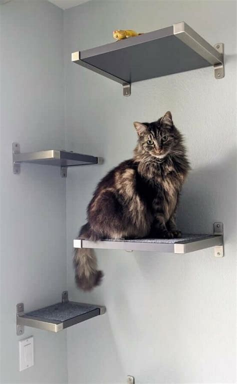 10 DIY Cat Shelves That Look Purr-fectly Fabulous