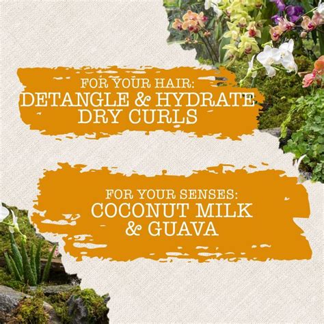 Buy Maui Moisture Nourish & Moisture + Coconut Milk Shampoo Online