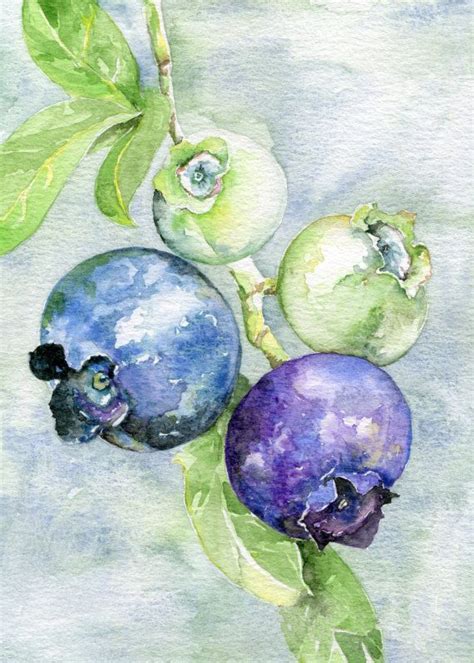 Blueberry Watercolor 8 X 10 Art Print Fruit Illustration Etsy In 2021 Watercolor Art Prints