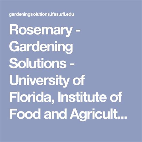 Rosemary Gardening Solutions University Of Florida Institute Of