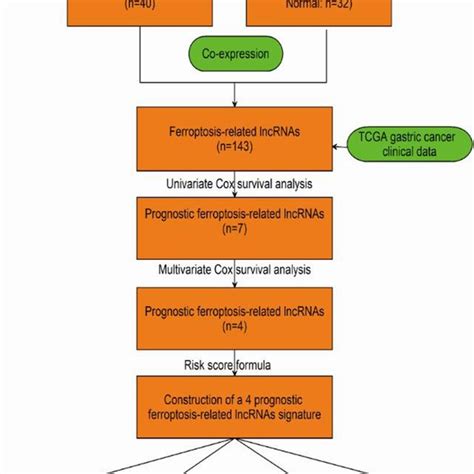 Workflow Of The Prognostic Risk Model Analysis Download Scientific