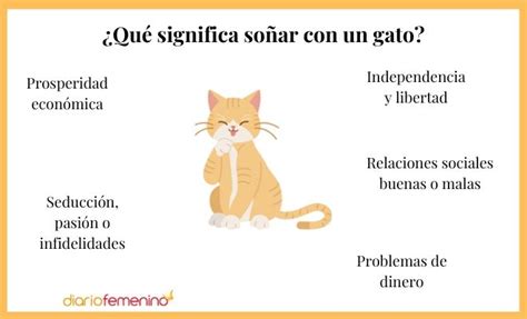 So Ar Con Gatos Todos Los Significados De Los Sue Os Con Felinos